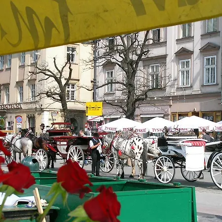 דירה New Sweet One *